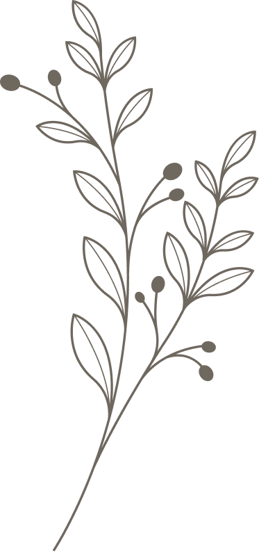 unnamed image